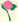 CamelliaGrillShop - Home